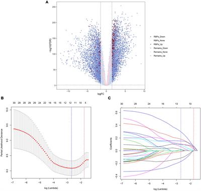 Systematic Construction and Validation of an RNA-Binding Protein-Associated Prognostic Model for Acute Myeloid Leukemia